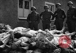 Image of dead bodies Buchenwald Germany, 1945, second 12 stock footage video 65675049495