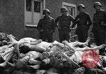 Image of dead bodies Buchenwald Germany, 1945, second 14 stock footage video 65675049495