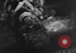 Image of crematorium Buchenwald Germany, 1945, second 14 stock footage video 65675049497