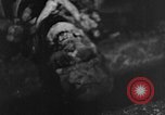 Image of crematorium Buchenwald Germany, 1945, second 16 stock footage video 65675049497