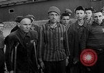 Image of concentration camp victims Buchenwald Germany, 1945, second 12 stock footage video 65675049499