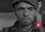 Image of concentration camp victims Buchenwald Germany, 1945, second 18 stock footage video 65675049499