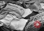 Image Prisonniers libérés de Buchenwald Buchenwald Allemagne, 1945, de la seconde 41 séquences d'archives historiques vidéo 65675049501