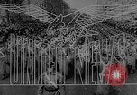 Image of French Resistance Forces Paris France, 1944, second 9 stock footage video 65675049502