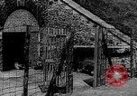 Image of German prisoners Paris France, 1944, second 45 stock footage video 65675049503