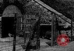 Image of German prisoners Paris France, 1944, second 48 stock footage video 65675049503