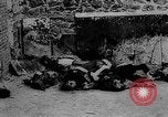 Image of German prisoners Paris France, 1944, second 50 stock footage video 65675049503