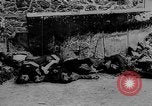 Image of German prisoners Paris France, 1944, second 52 stock footage video 65675049503