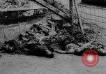 Image of German prisoners Paris France, 1944, second 57 stock footage video 65675049503