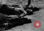 Image of German prisoners Paris France, 1944, second 61 stock footage video 65675049503