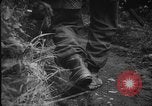 Image of General Erwin Rommel and staff France, 1944, second 50 stock footage video 65675049505