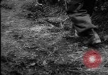 Image of General Erwin Rommel and staff France, 1944, second 54 stock footage video 65675049505