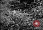 Image of General Erwin Rommel and staff France, 1944, second 55 stock footage video 65675049505