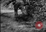 Image of General Erwin Rommel and staff France, 1944, second 57 stock footage video 65675049505