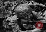 Image of German forces battle Allies in Normandy France, 1944, second 12 stock footage video 65675049506