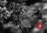 Image of German forces battle Allies in Normandy France, 1944, second 25 stock footage video 65675049506