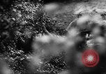 Image of German forces battle Allies in Normandy France, 1944, second 26 stock footage video 65675049506