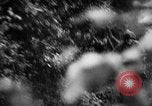 Image of German forces battle Allies in Normandy France, 1944, second 27 stock footage video 65675049506