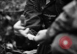 Image of German forces battle Allies in Normandy France, 1944, second 37 stock footage video 65675049506