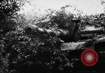 Image of German forces battle Allies in Normandy France, 1944, second 43 stock footage video 65675049506