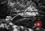 Image of German forces battle Allies in Normandy France, 1944, second 51 stock footage video 65675049506