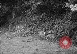Image of German forces battle Allies in Normandy France, 1944, second 53 stock footage video 65675049506