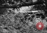 Image of German forces battle Allies in Normandy France, 1944, second 54 stock footage video 65675049506