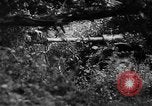 Image of German forces battle Allies in Normandy France, 1944, second 55 stock footage video 65675049506