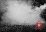 Image of German forces battle Allies in Normandy France, 1944, second 56 stock footage video 65675049506
