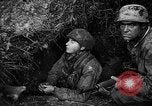 Image of German forces battle Allies in Normandy France, 1944, second 58 stock footage video 65675049506