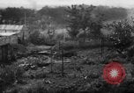 Image of German armored units battle Allies in Normandy France, 1944, second 27 stock footage video 65675049507