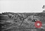 Standbild 19 deutschen Armee Panzer Panzer Korps Frankreich, 1940, aus Sekunde 56 historischem Filmmaterial Videoclip 65675049508