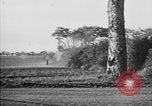 Standbild 19 deutschen Armee Panzer Panzer Korps Frankreich, 1940, aus Sekunde 62 historischem Filmmaterial Videoclip 65675049508
