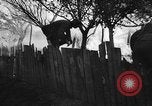 Image of German soldiers Russia, 1942, second 26 stock footage video 65675049510