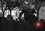 Image of German soldiers Russia, 1942, second 28 stock footage video 65675049510