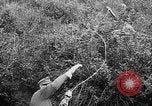 Standbild deutsche Soldaten Italien, 1942, aus Sekunde 13 historischem Filmmaterial Videoclip 65675049513