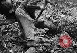 Standbild deutsche Soldaten Italien, 1942, aus Sekunde 41 historischem Filmmaterial Videoclip 65675049513