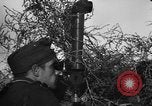 Immagine di I soldati tedeschi La Russia, 1943, secondo 11 filmato di repertorio 65675049514