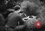 Immagine di I soldati tedeschi La Russia, 1943, secondo 22 filmato di repertorio 65675049514