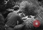 Immagine di I soldati tedeschi La Russia, 1943, secondo 23 filmato di repertorio 65675049514