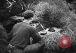 Immagine di I soldati tedeschi La Russia, 1943, secondo 24 filmato di repertorio 65675049514