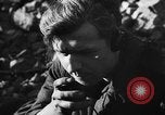 Immagine di I soldati tedeschi La Russia, 1943, secondo 61 filmato di repertorio 65675049514