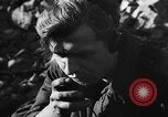 Immagine di I soldati tedeschi La Russia, 1943, secondo 62 filmato di repertorio 65675049514