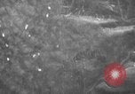Image of German He-111 bombers Gomel Russia Soviet Union, 1942, second 36 stock footage video 65675049515