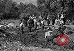 Standbild Gestapo Opfer exhumiert Polygone Frankreich, 1944, aus Sekunde 12 historischem Filmmaterial Videoclip 65675049516