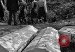 Standbild Gestapo Opfer exhumiert Polygone Frankreich, 1944, aus Sekunde 20 historischem Filmmaterial Videoclip 65675049516
