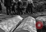 Standbild Gestapo Opfer exhumiert Polygone Frankreich, 1944, aus Sekunde 21 historischem Filmmaterial Videoclip 65675049516