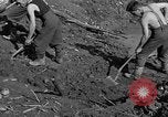 Standbild Gestapo Opfer exhumiert Polygone Frankreich, 1944, aus Sekunde 24 historischem Filmmaterial Videoclip 65675049516