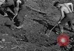 Standbild Gestapo Opfer exhumiert Polygone Frankreich, 1944, aus Sekunde 25 historischem Filmmaterial Videoclip 65675049516
