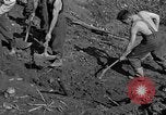 Standbild Gestapo Opfer exhumiert Polygone Frankreich, 1944, aus Sekunde 27 historischem Filmmaterial Videoclip 65675049516
